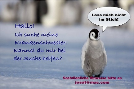 Pinguin sucht Krankenschwester